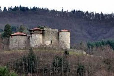 Castle in the woods