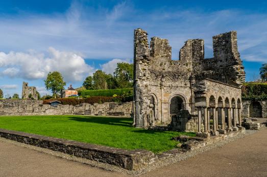 Mellifont Abbey