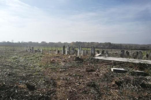 Backi Monostor Jewish Cemetery