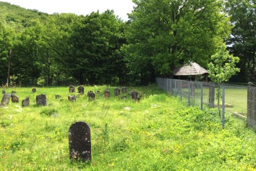 Dubrynychi Jewish Cemetery