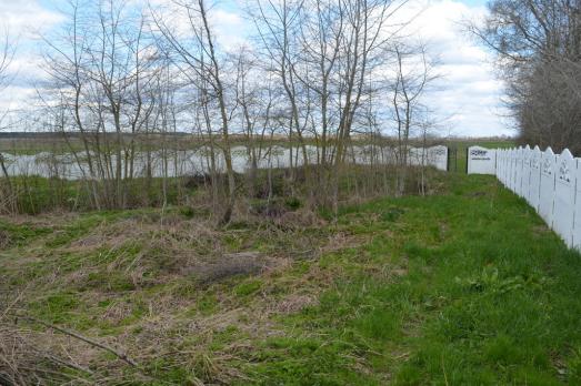 Melnytsya Old Jewish Cemetery