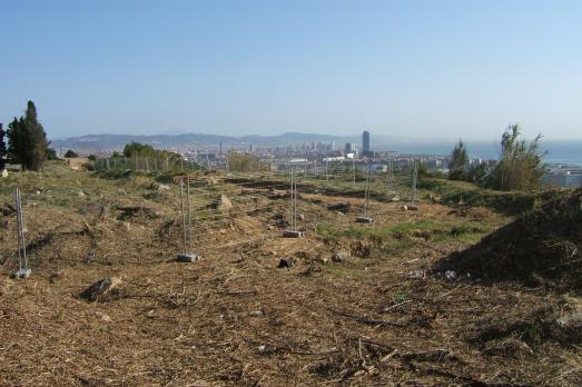 Ancient Jewish Cemetery